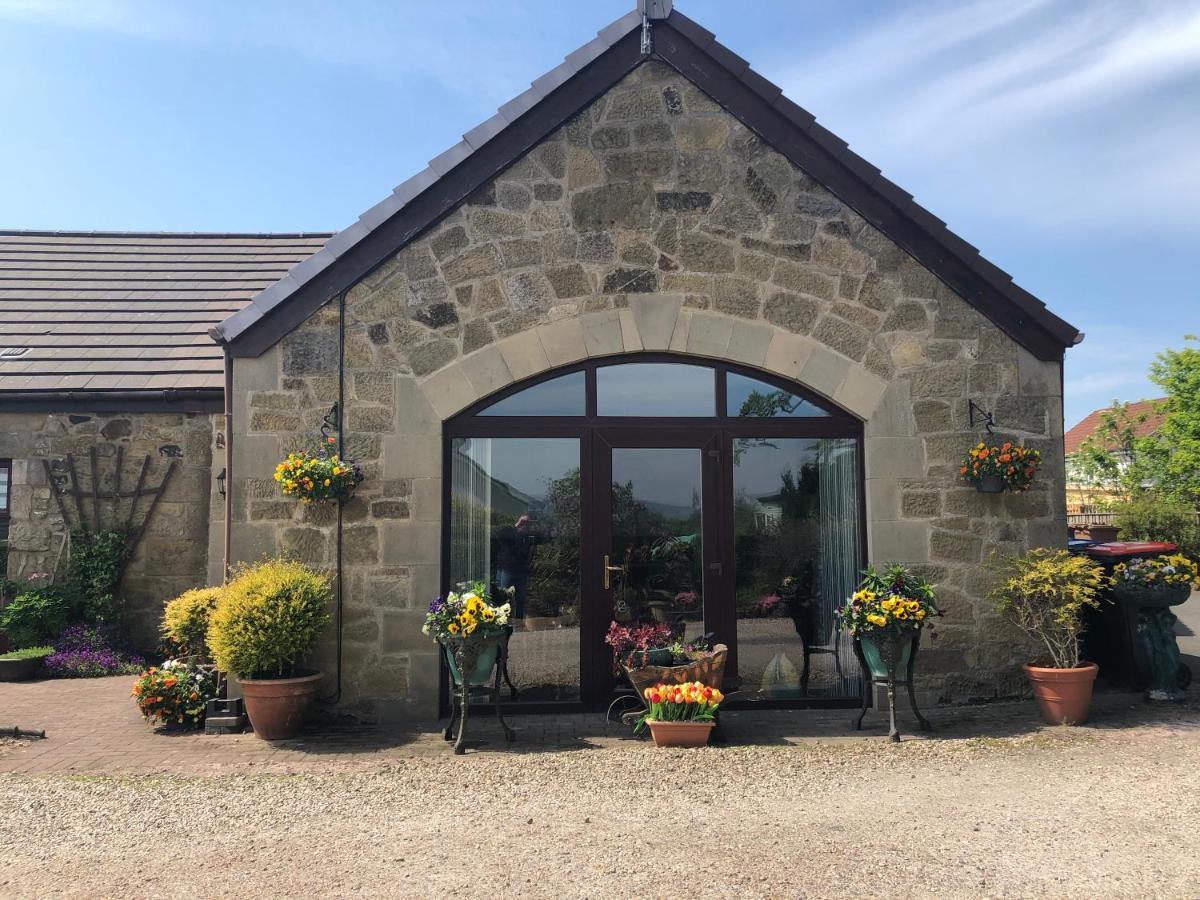 Room @ Jasmine Cottage Bathgate Exterior foto